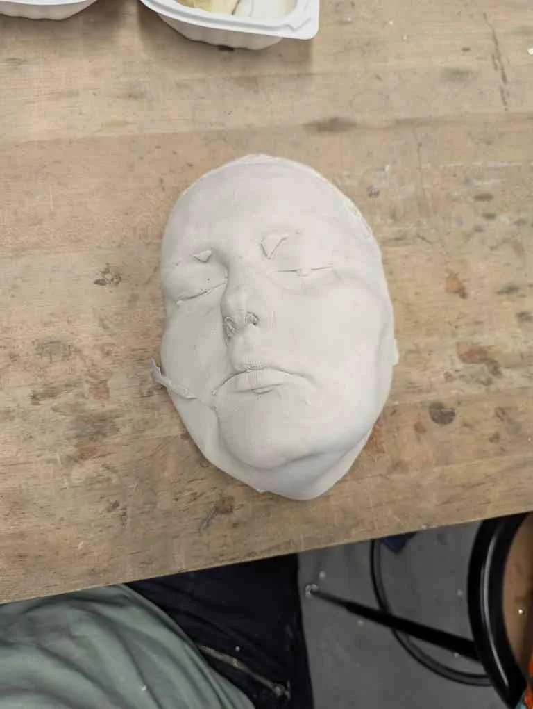 Face_casting_plaster wip.jpg