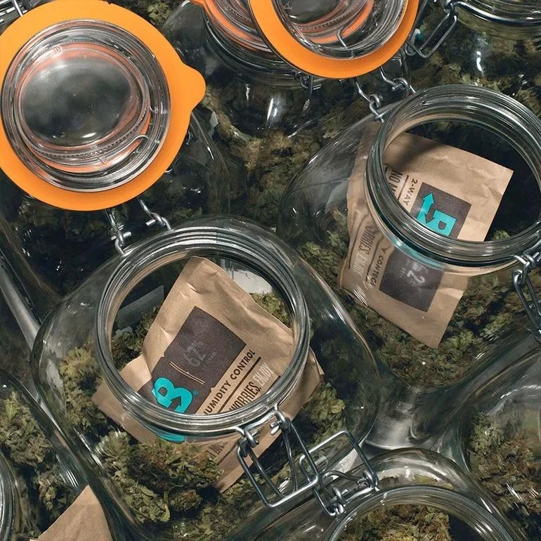 62-Boveda-67-Gram-Pack.jpg