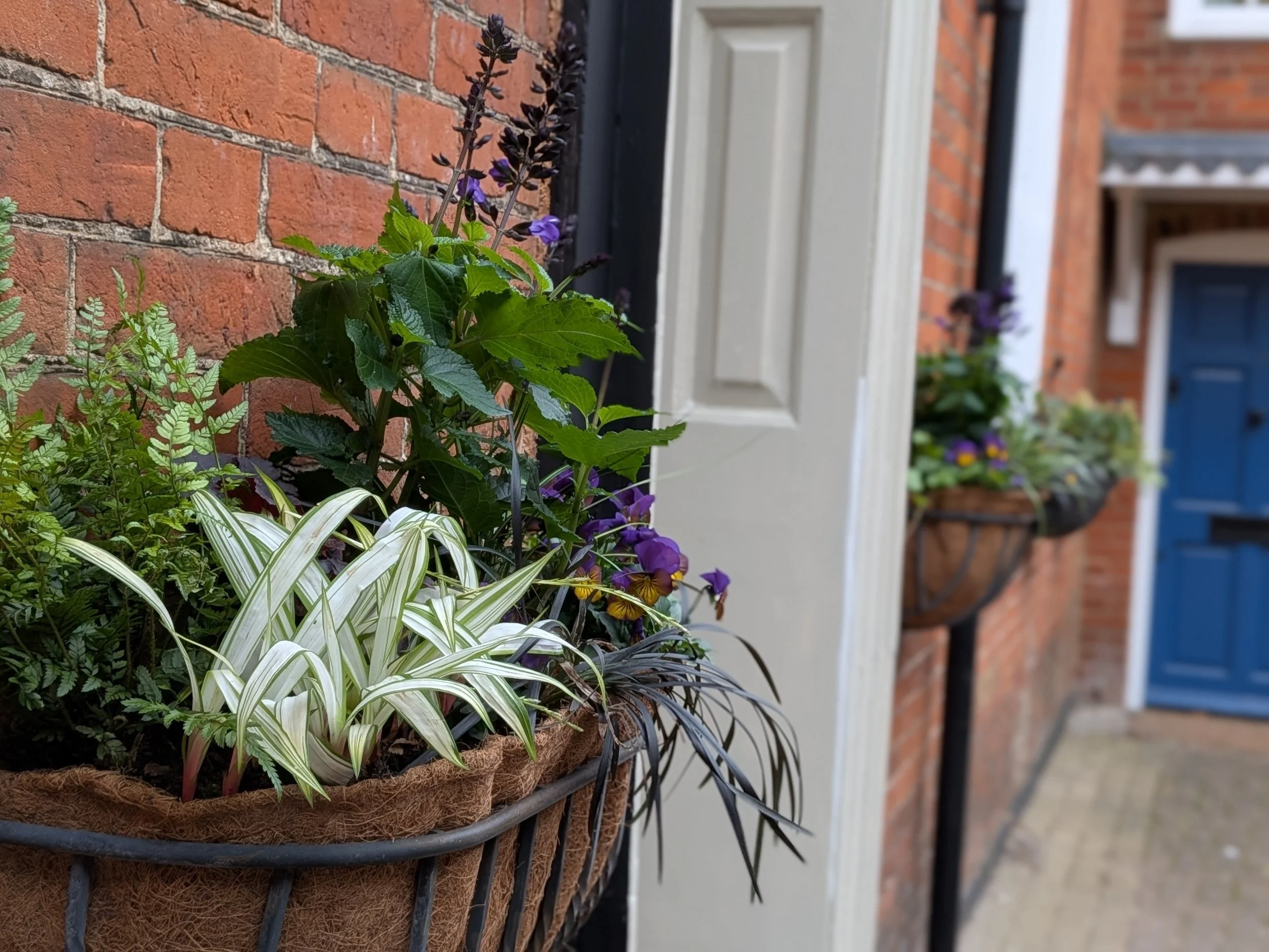 Flower window boxes on brick wall near a blue door