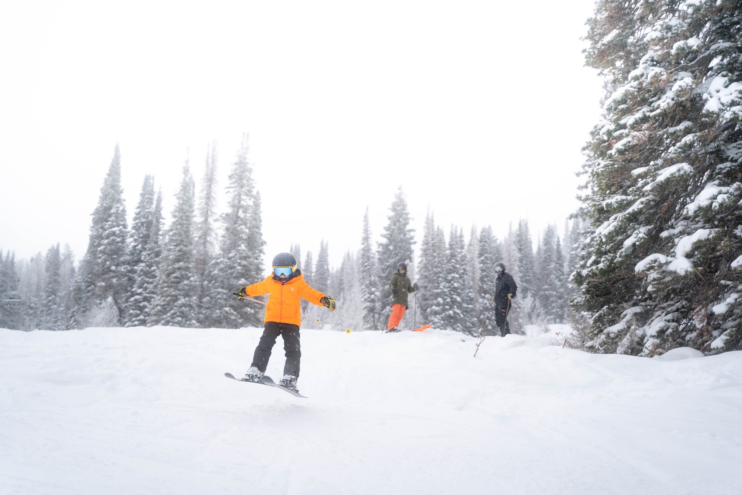 People skiing and snowboarding on a snowy slope in a forested area with tall pine trees.