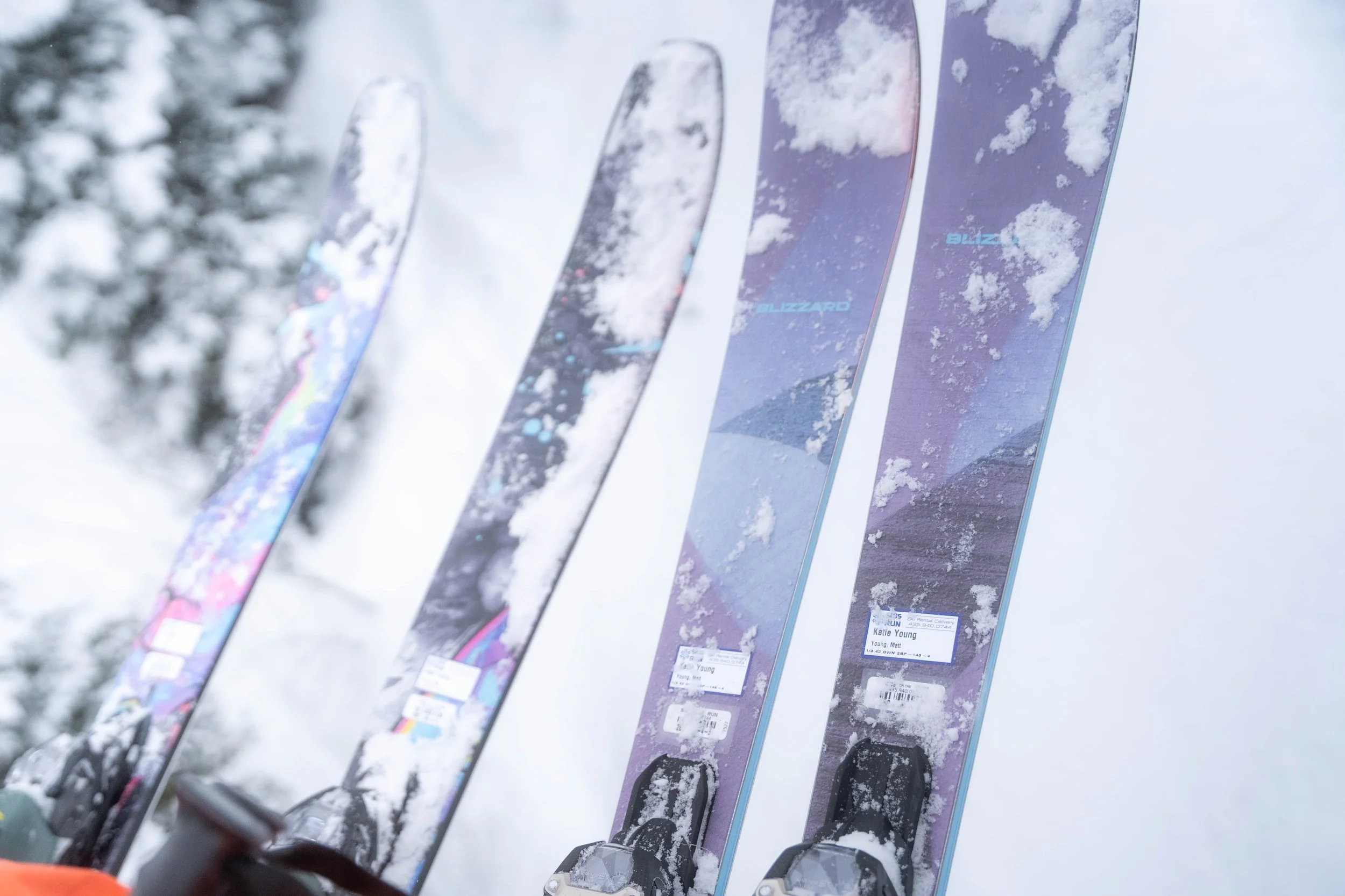 Four skis standing upright in the snow with snow on their tops, with snowy trees in the background.