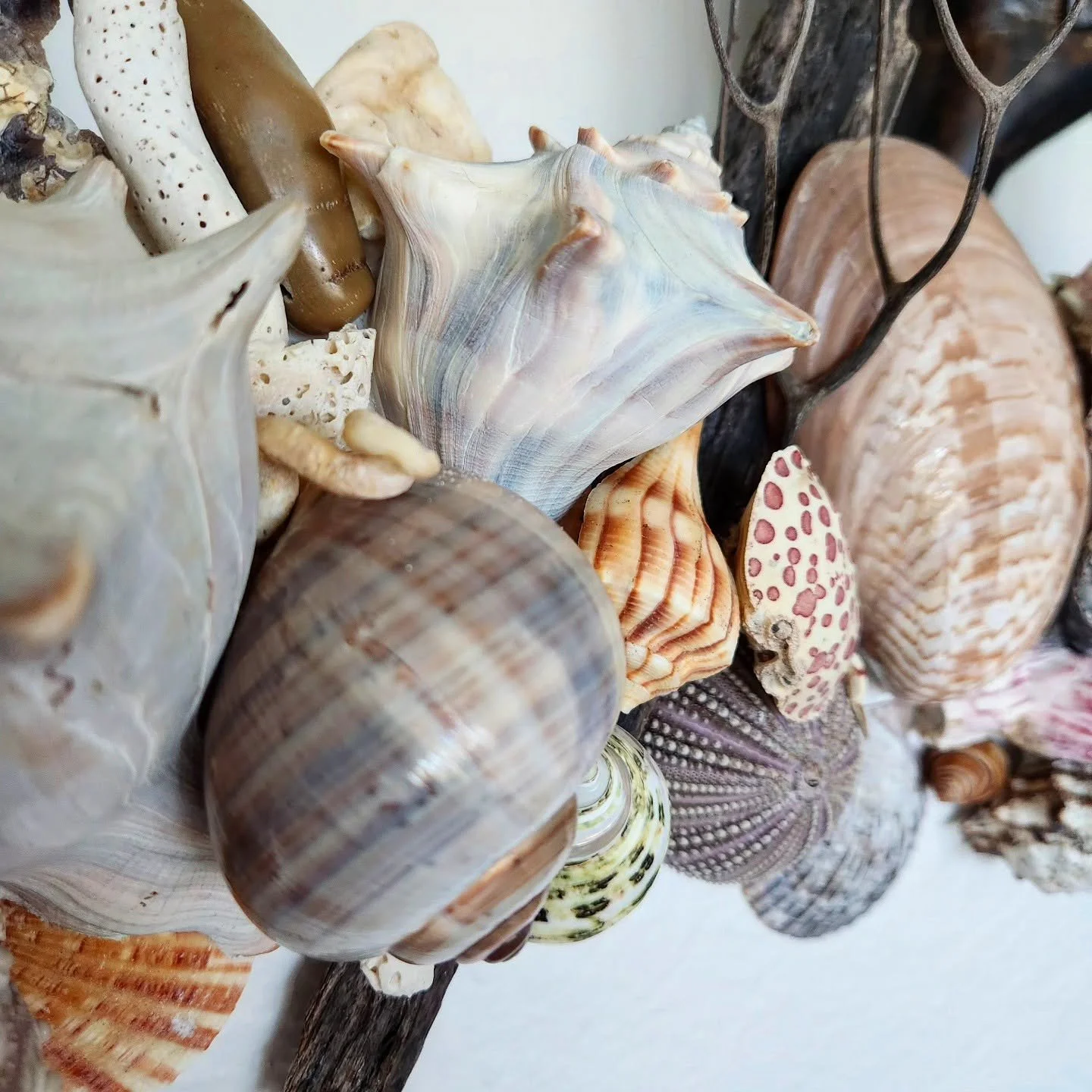 489923368_1669830511362142_8697470186740547123_n.jpg