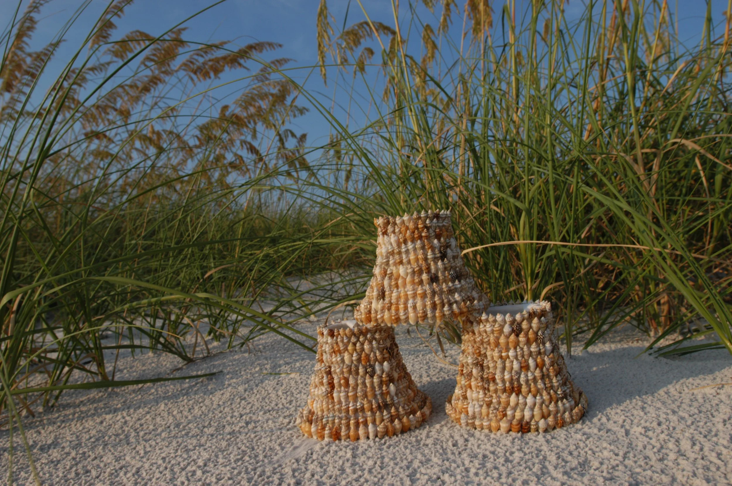 Stacks of shells arranged on the sandy beach among tall sea grass with a clear blue sky overhead.