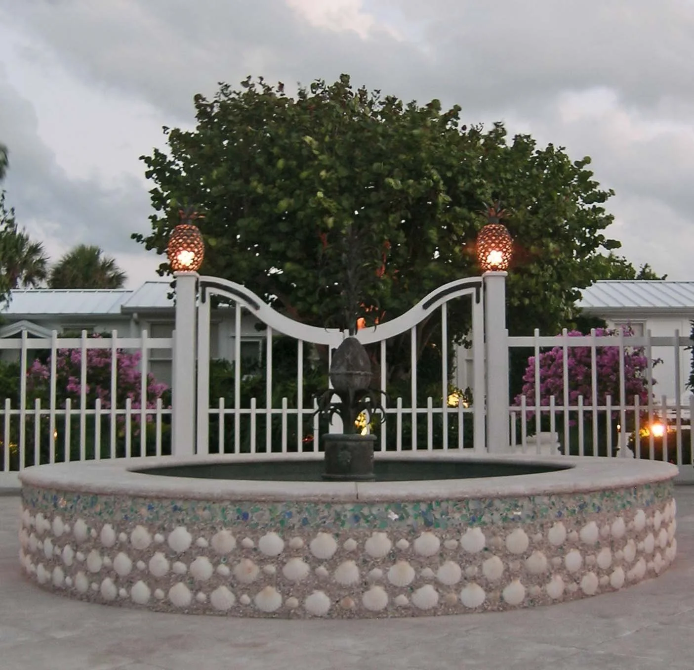 blau-fountain-shelled-1.jpg