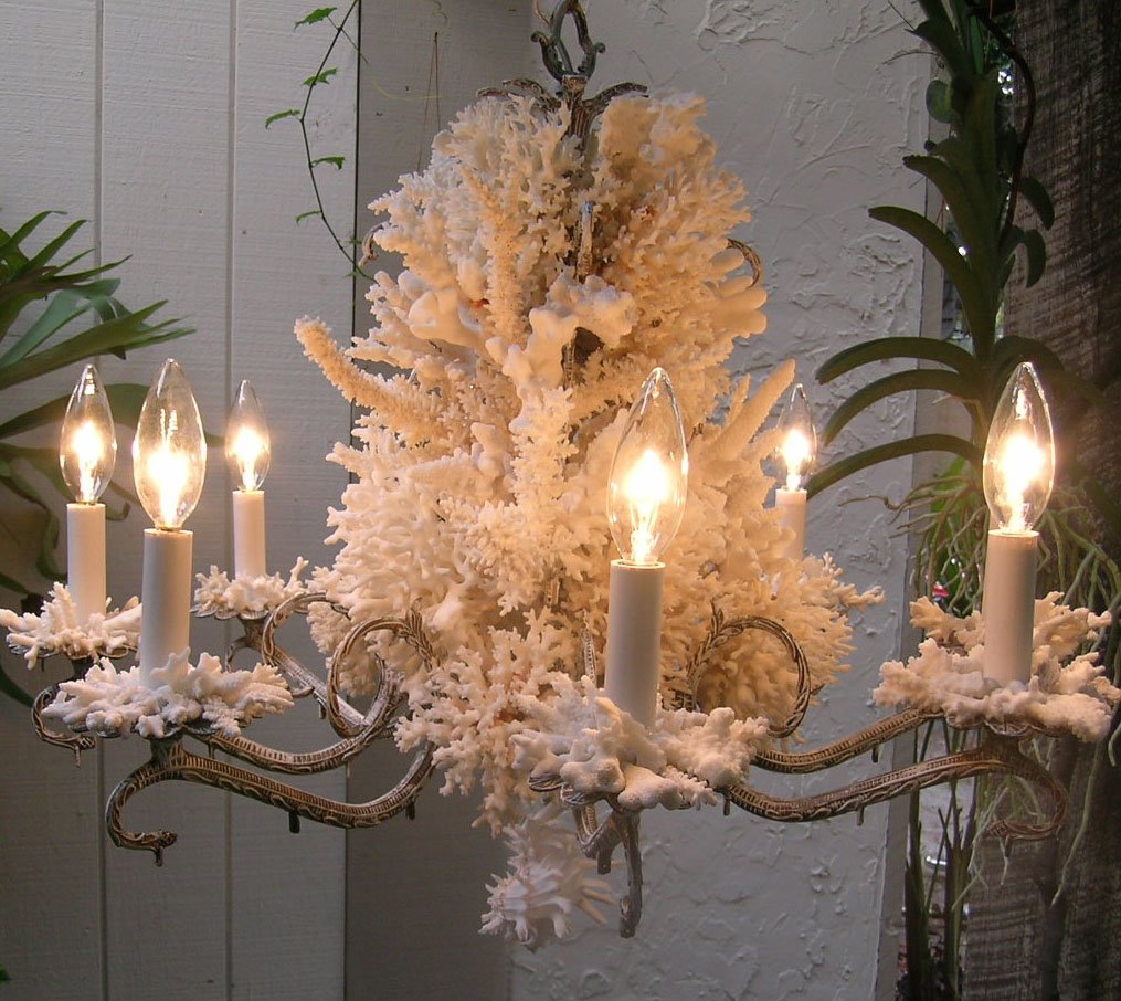 A chandelier decorated with white coral and candle-shaped lights, hanging in a room with green plants and textured walls.