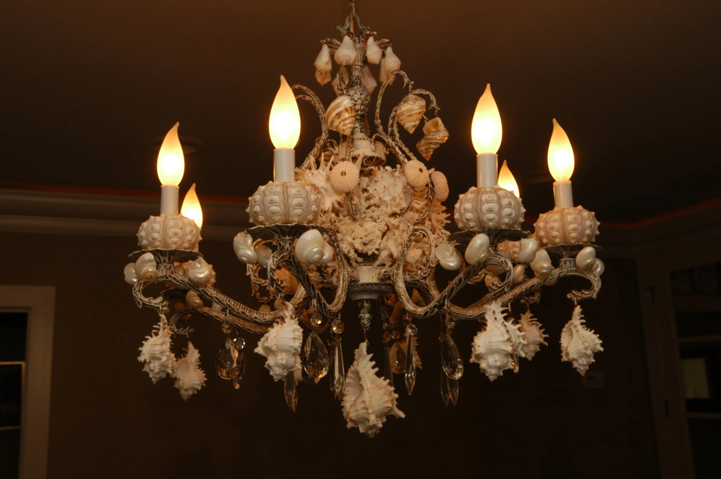 Chandelier decorated with seashells, conchs, and coral, with lit candle-shaped light bulbs.