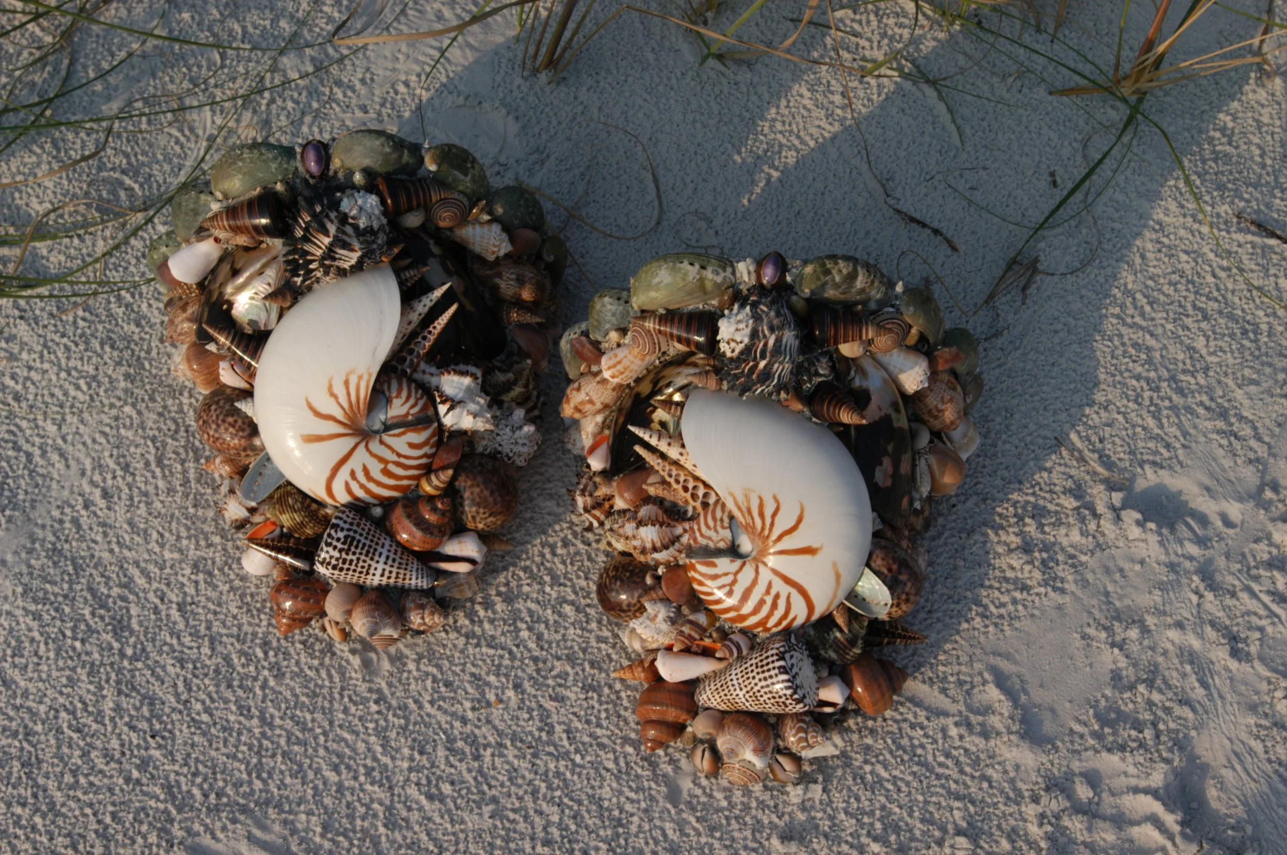 Two large wall sconces adorned with a variety of beautiful large seashells, corals, and various smaller seashells on light sandy ground.