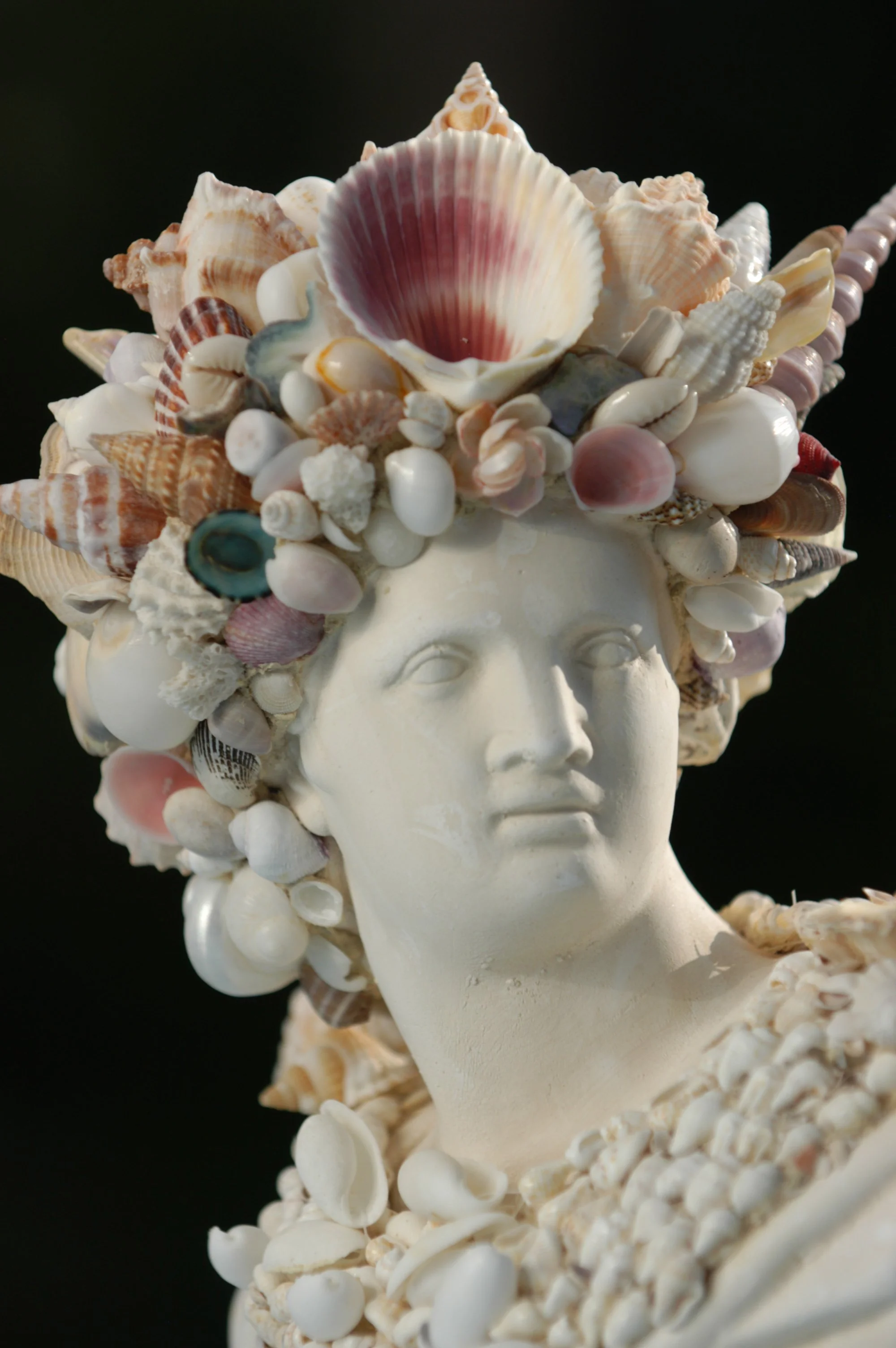 Statue of a woman's head and shoulders made from seashells against a black background.