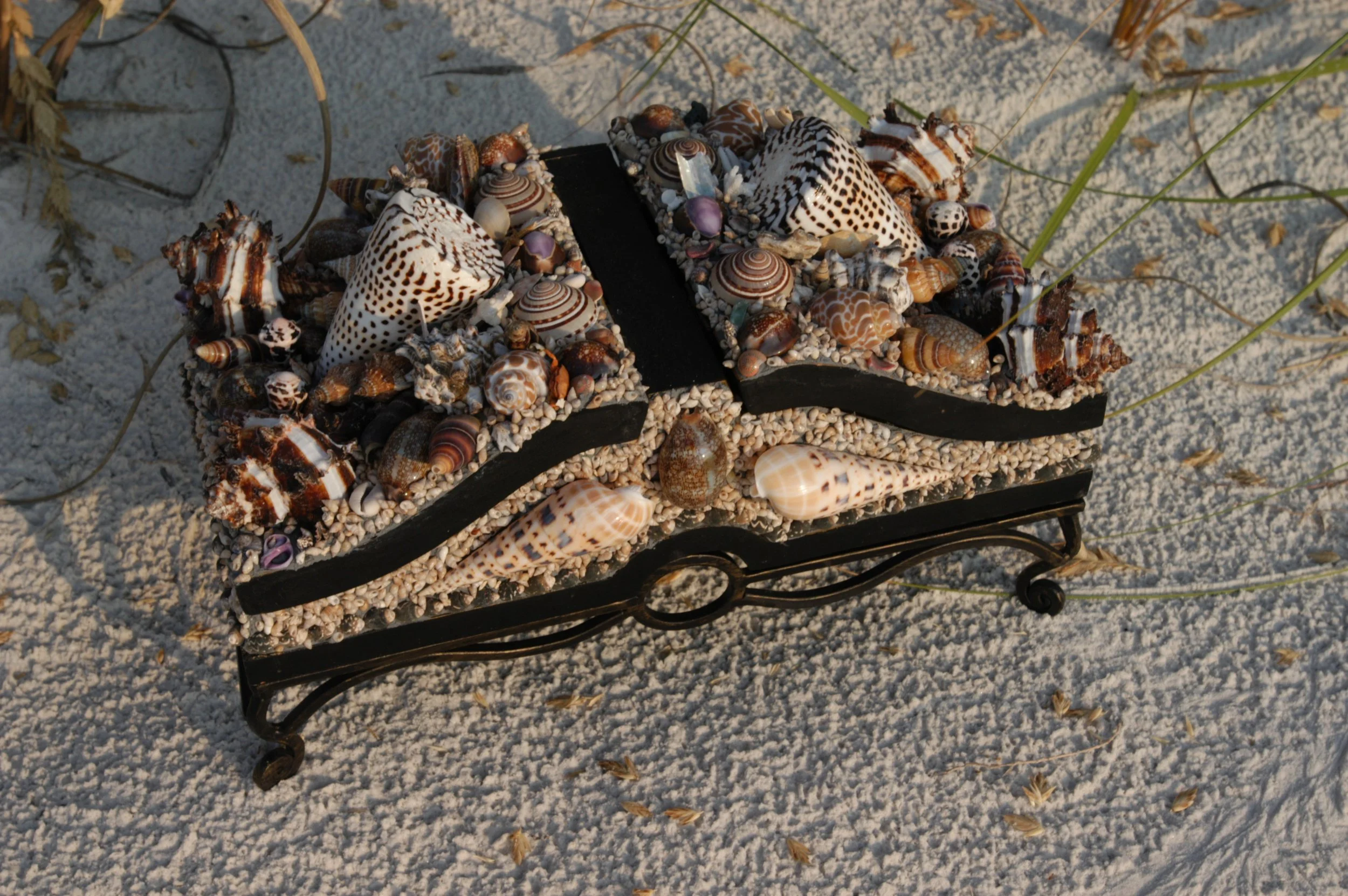 Decorative display of various seashells on a black tray with sand and beach grass around it.