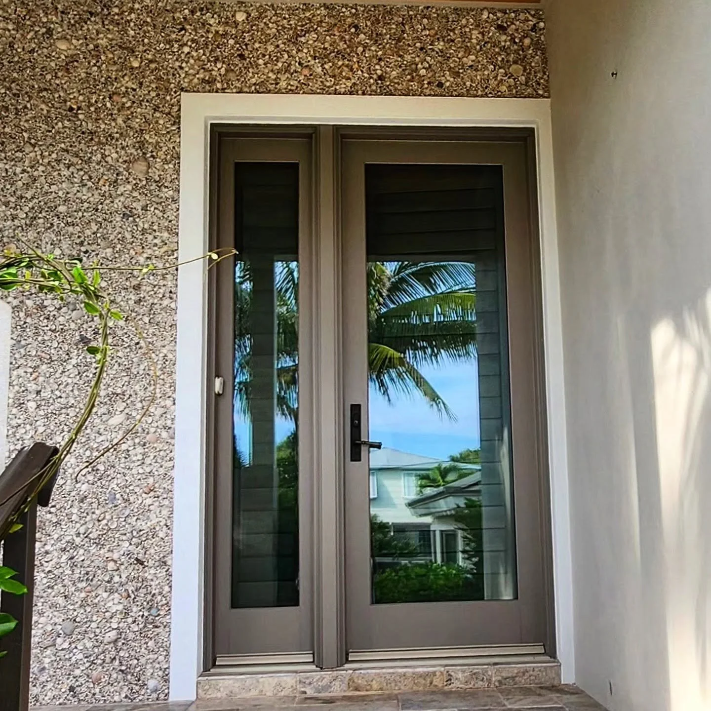 Exterior view of a sliding glass door with a tropical landscape reflection, including palm trees and a cloudy sky, set in a modern home with textured and painted walls.