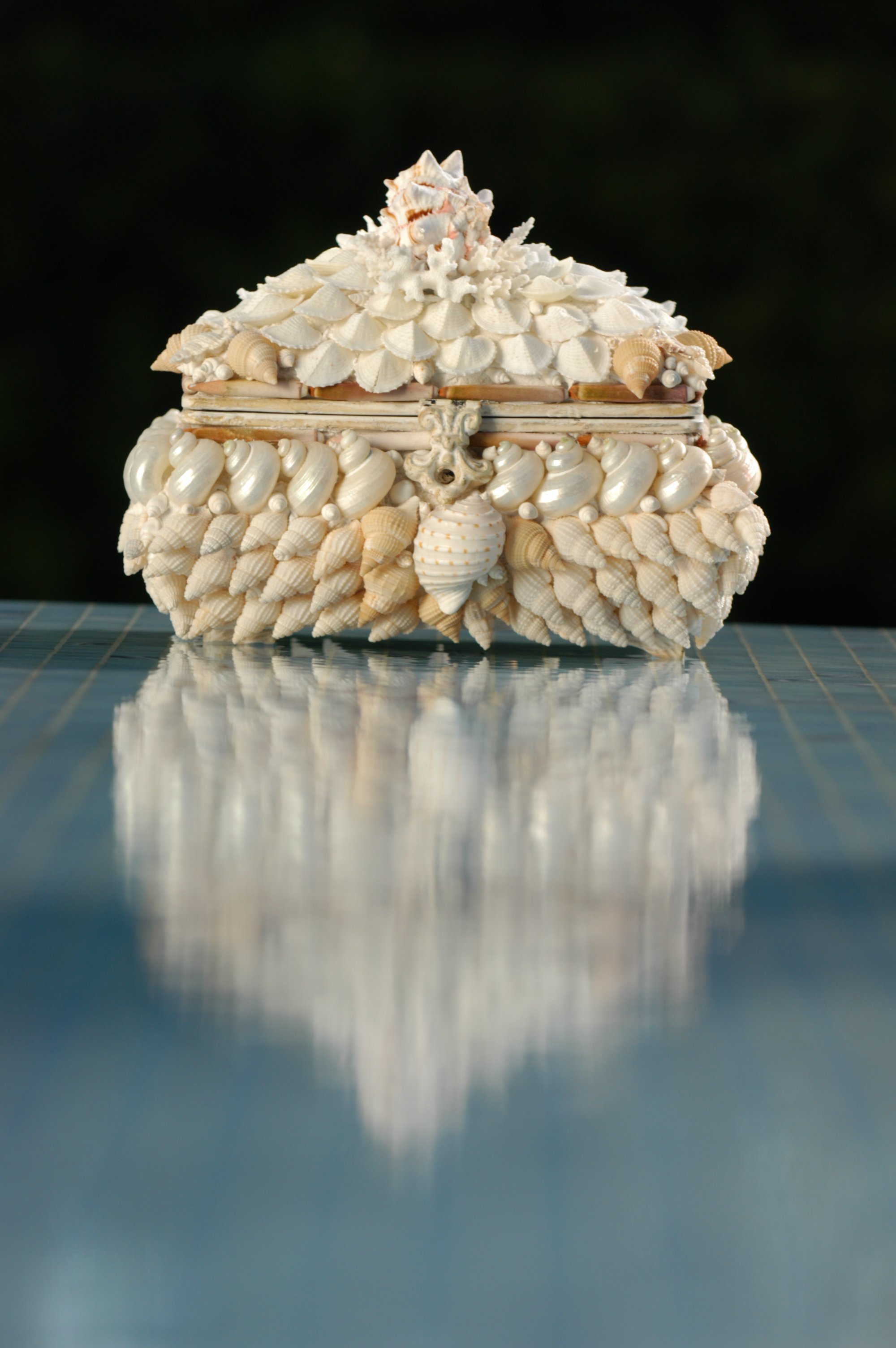 A decorative jewelry box made of seashells with a black background.