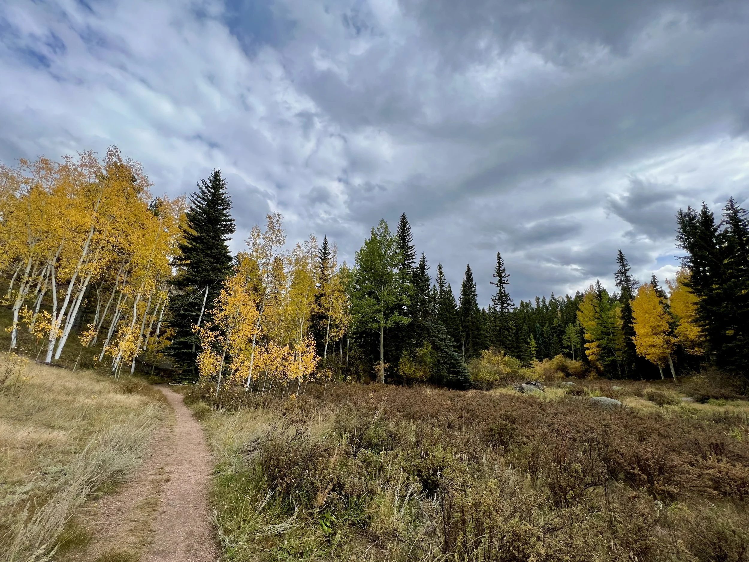 A dirt trail winds through a forest with aspens and pines, under a mostly cloudy sky on a brisk fall afternoon.