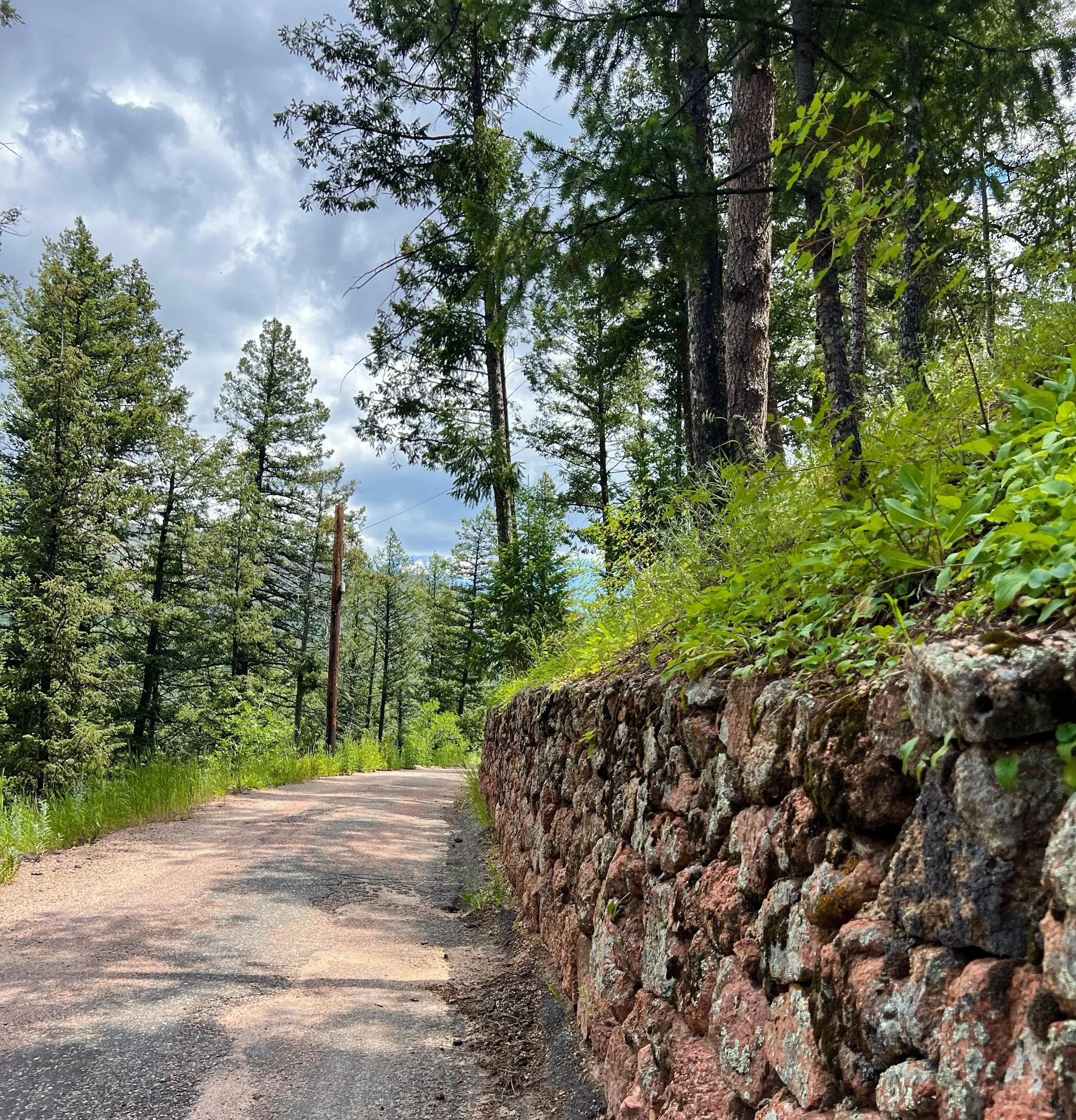 A dirt trail winds through a forest with tall trees and green foliage. A stone wall runs alongside part of the trail, with clouds overhead.
