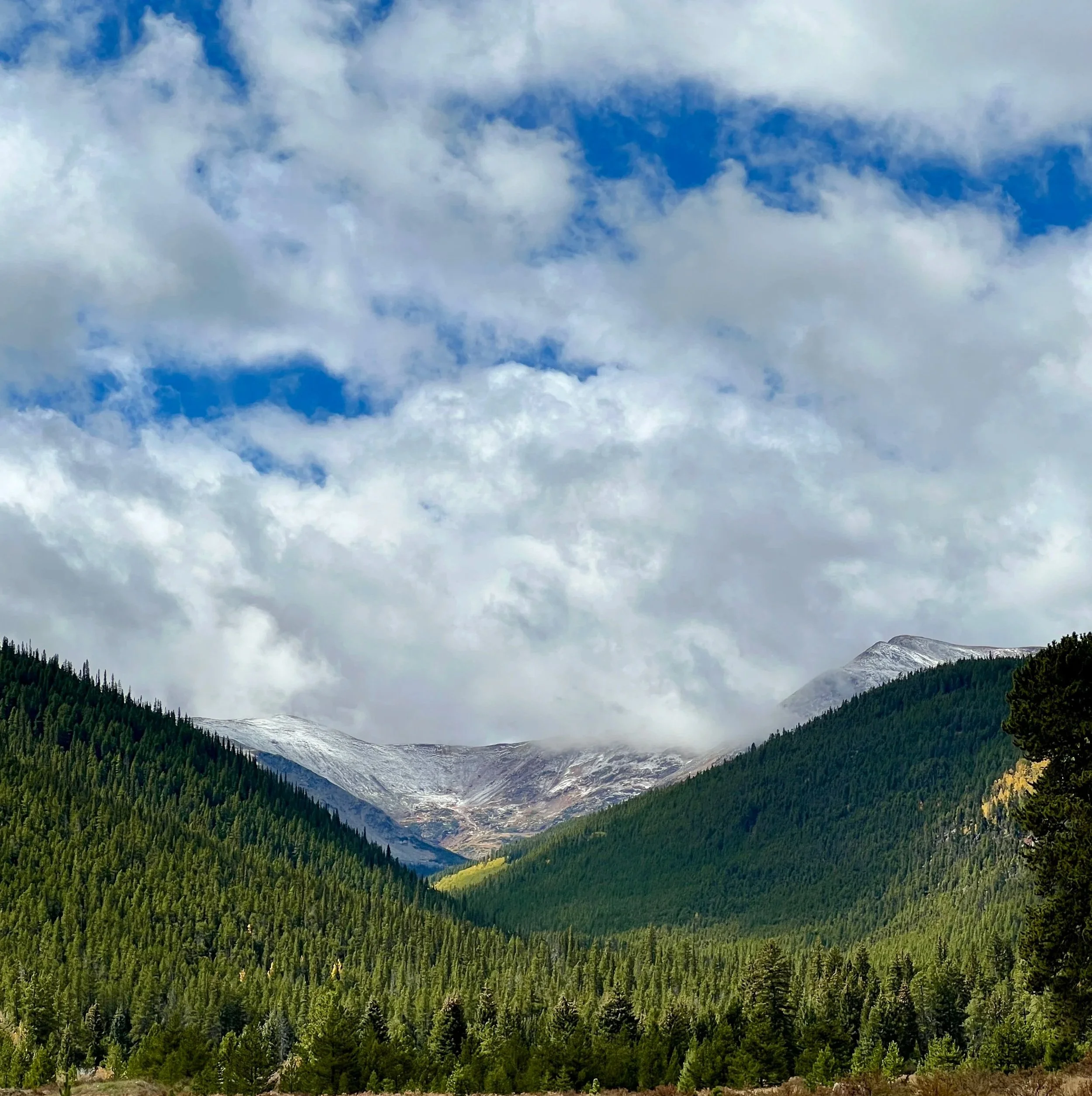 A panoramic view of a mountainous landscape with dense green forests in the foreground, snow-capped peaks in the distance, and a partly cloudy blue sky.