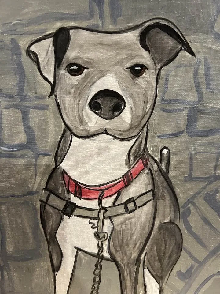 pitbull.jpg