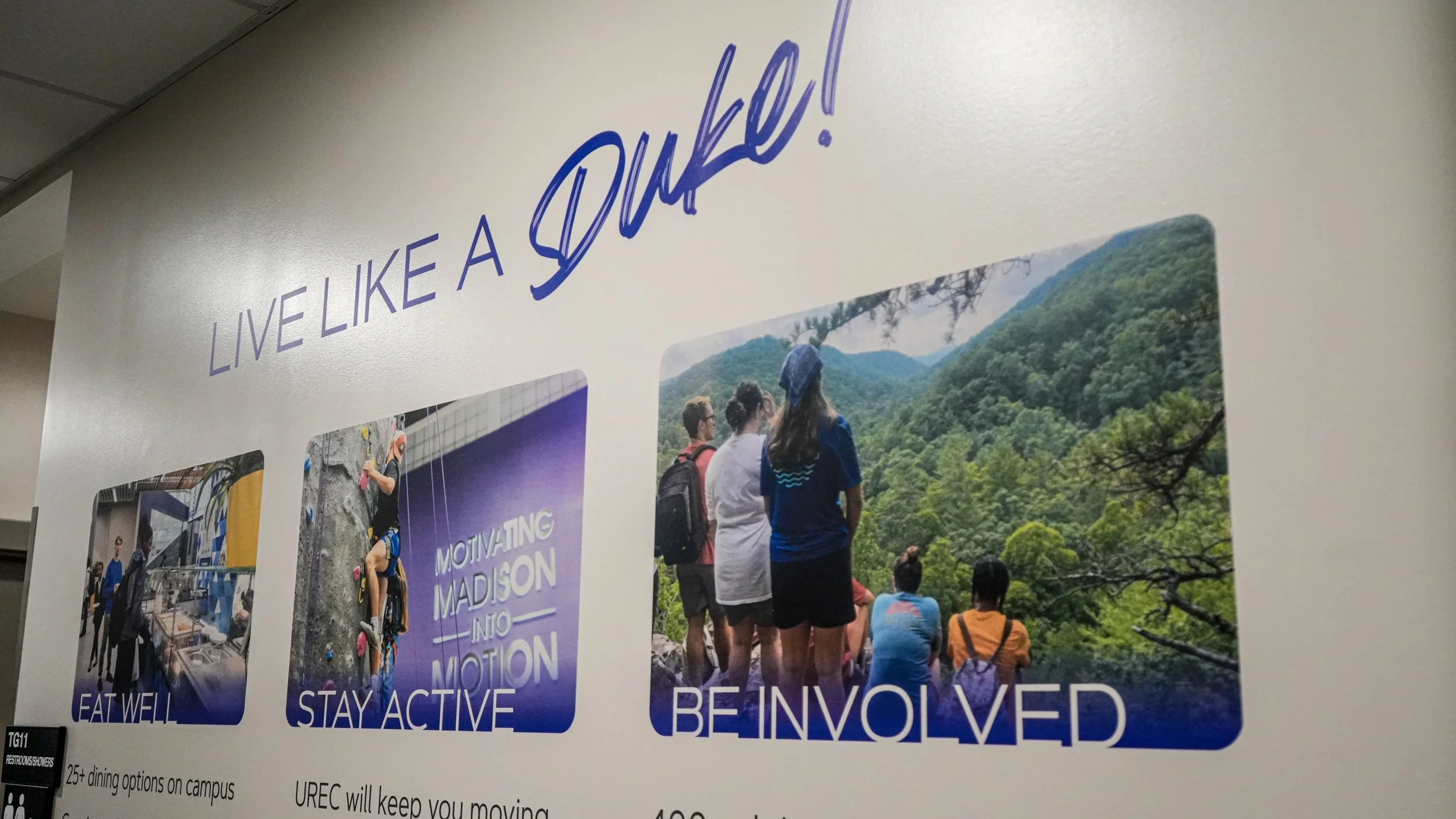 vertical painting - wall printing - james madison univerisity - wall space innovations - harrisonburg, virginia-10.jpg