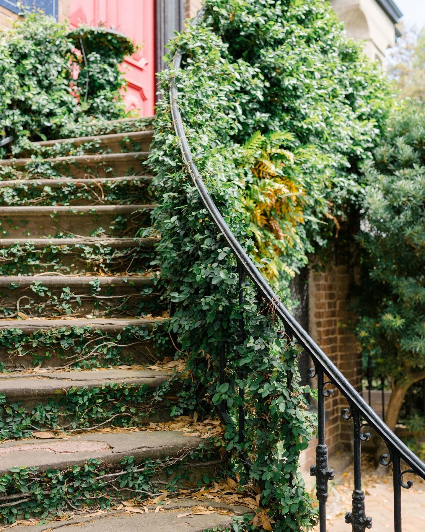 Some places hold a certain kind of magic &mdash; and how you design within them matters.
From Palmetto Bluff and Pippin Hill to Highlands, Newport, and Nantucket, we approach each destination with intention, respect for its character, and a refined d