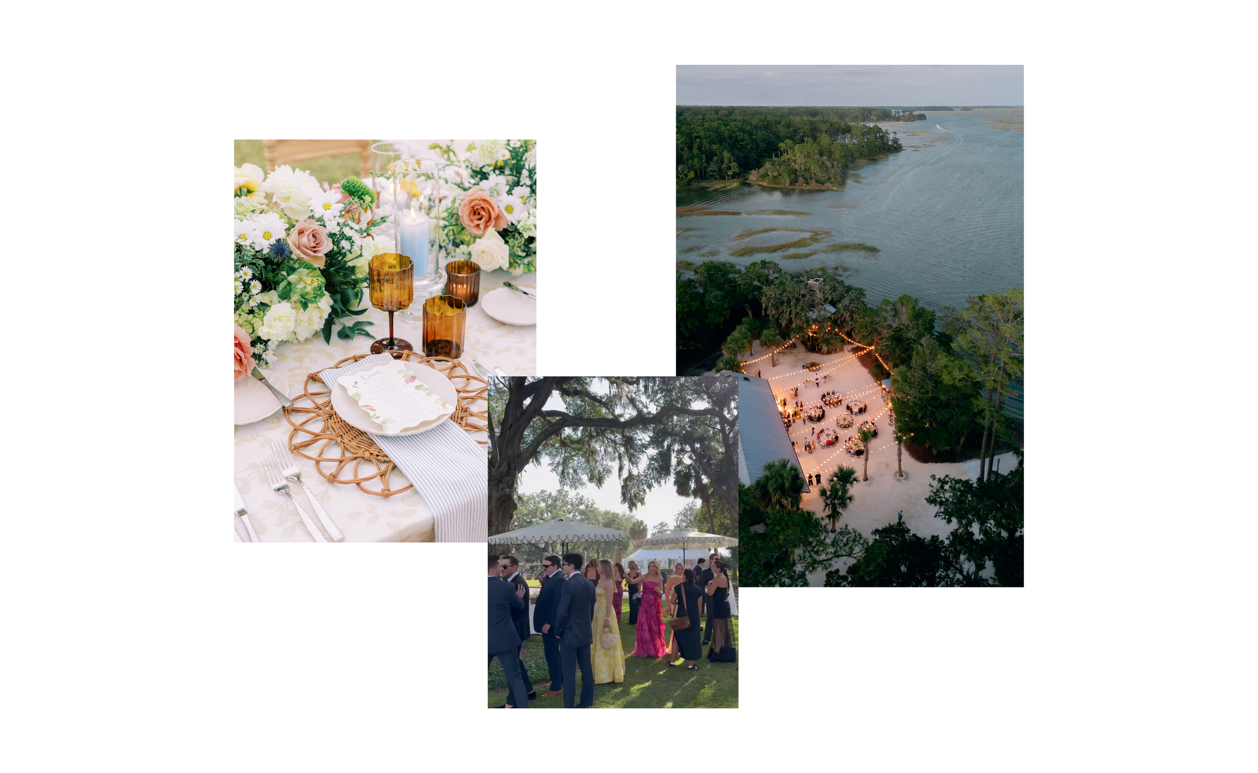 Newton Collective  Wireframe (Presentation) (6).png