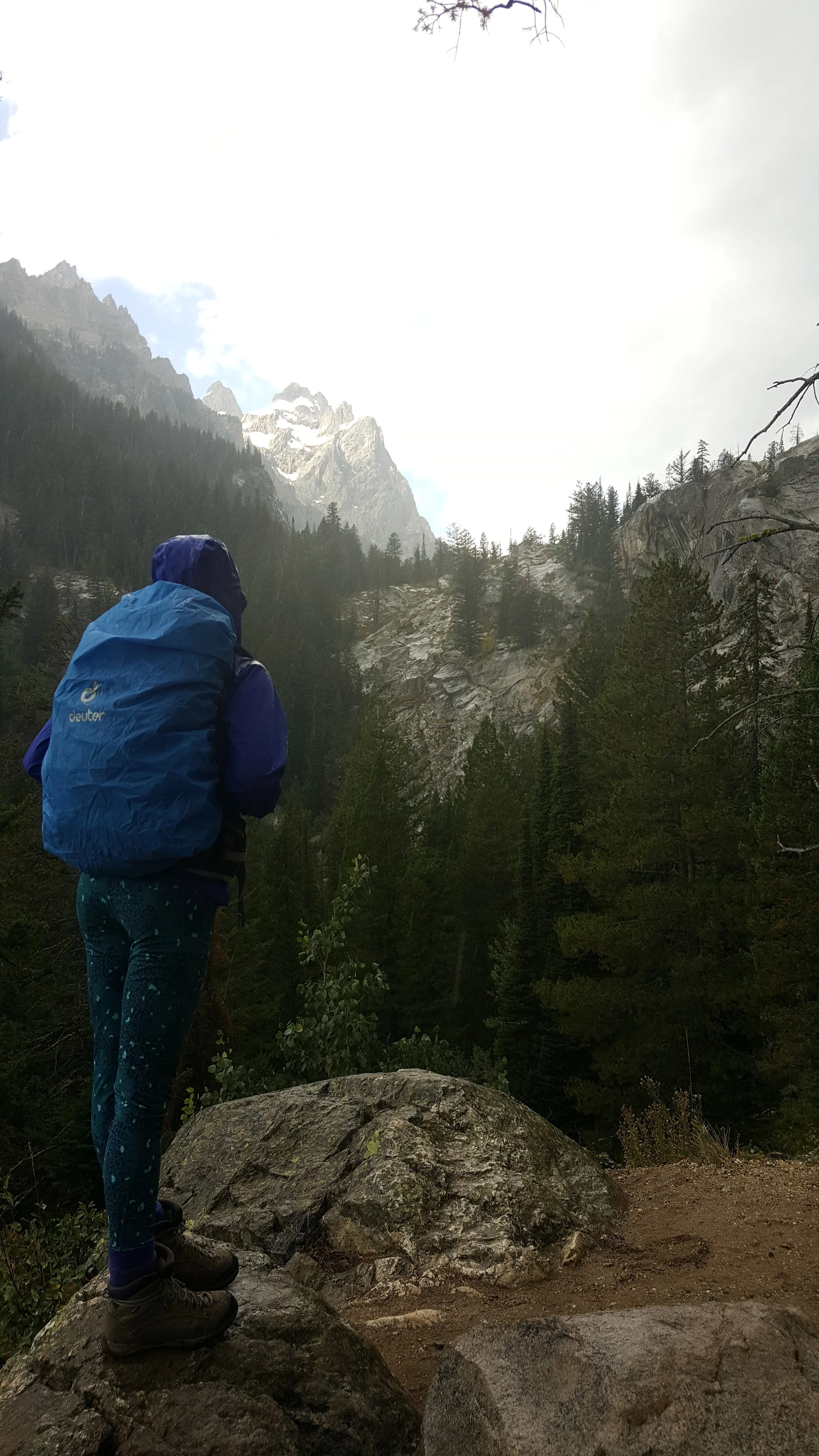 A person with a blue backpack standing on a large rock, overlooking a dense forest and mountain peaks in the distance under a cloudy sky.