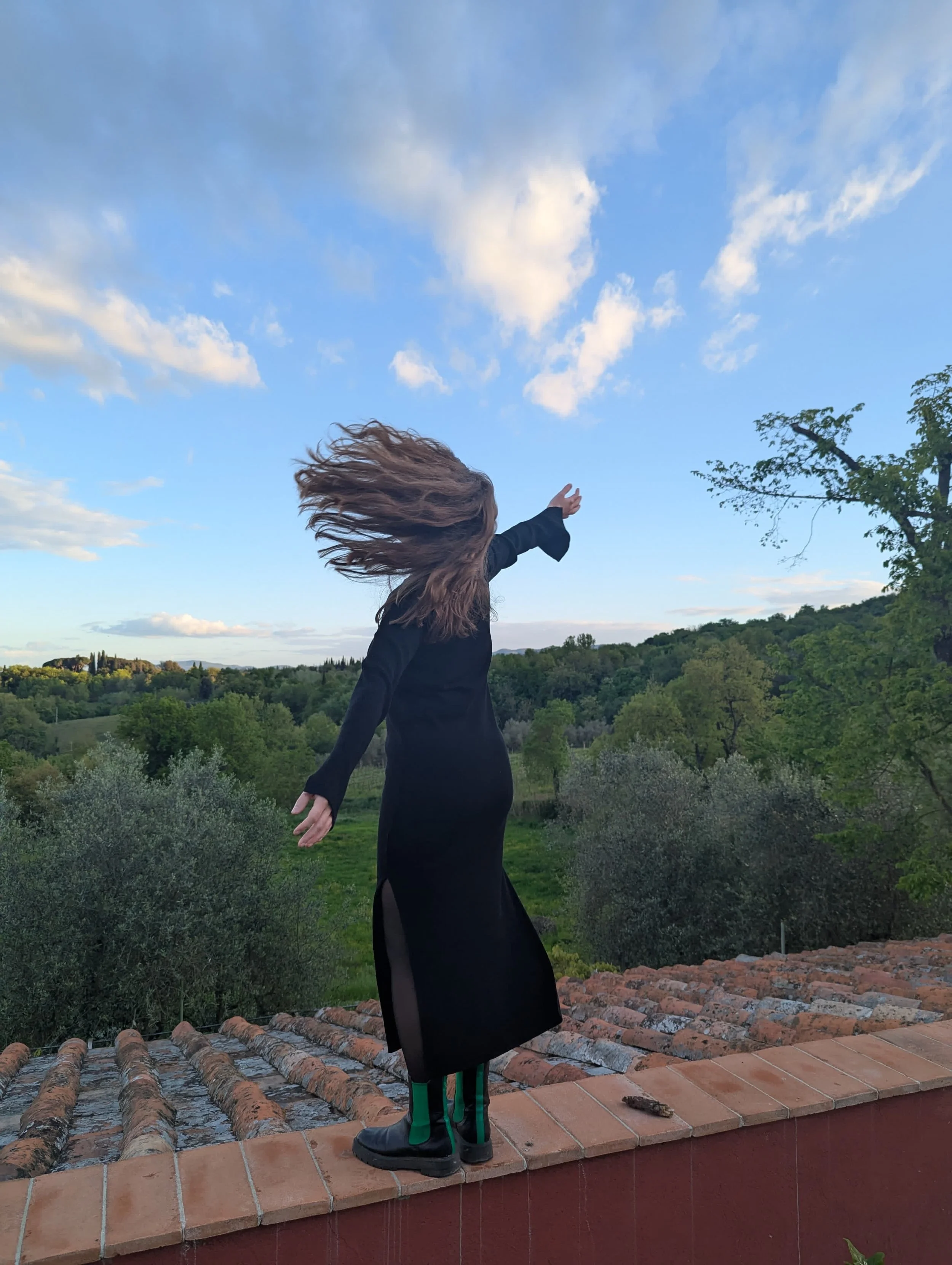 Eine Frau in schwarzem Kleid steht auf einer Mauer. Die Frau ist von hinten zu sehen und hat dunkelblonde Haare die im Wind wehen. Ein Arm ist ausgestreckt Richtung Himmel und einer Richtung Boden . Im Hintergrund sind Bäume zu sehen und Himmel.