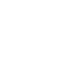 GEORGIA Chamber.png