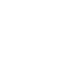 better ballot georgia.png