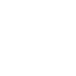georgia center for nonprofits.png