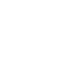GEORGIANS UNITED.png