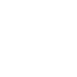 rotary international.png