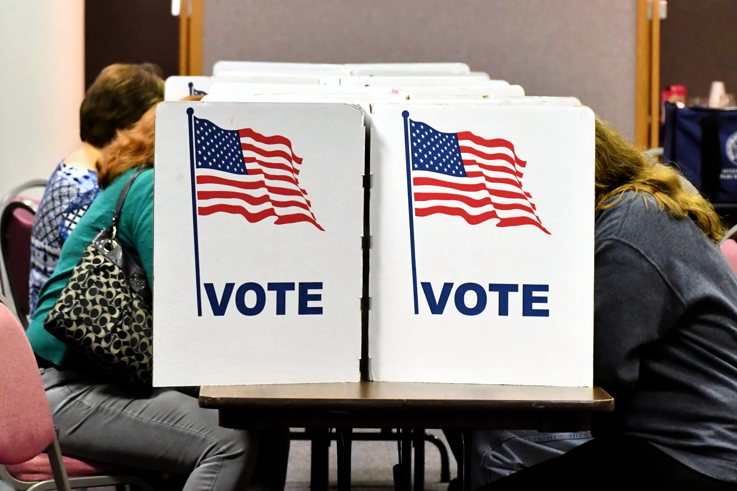 Voters casting ballots at polling booths in a Georgia primary election.