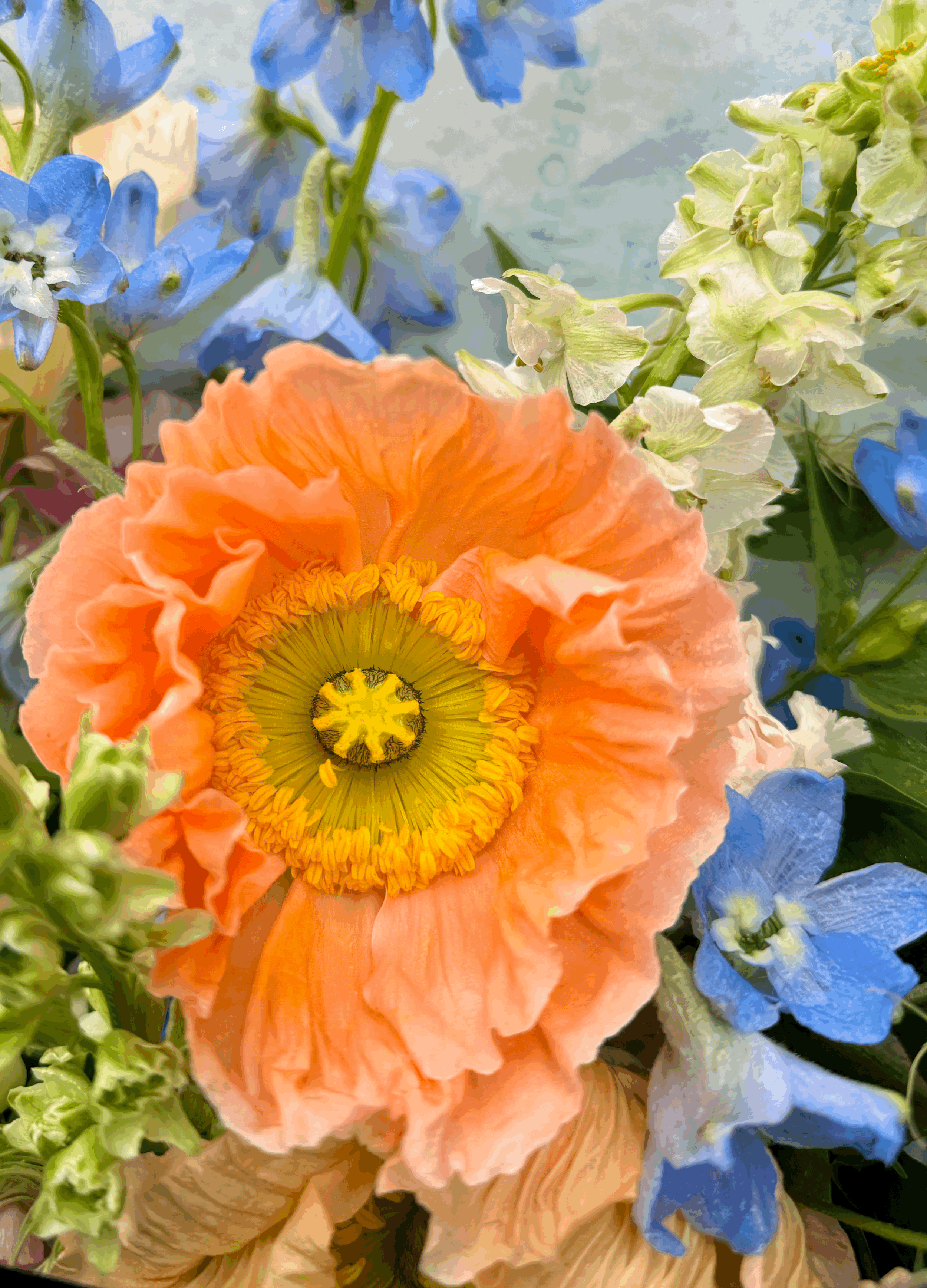Mother's Day