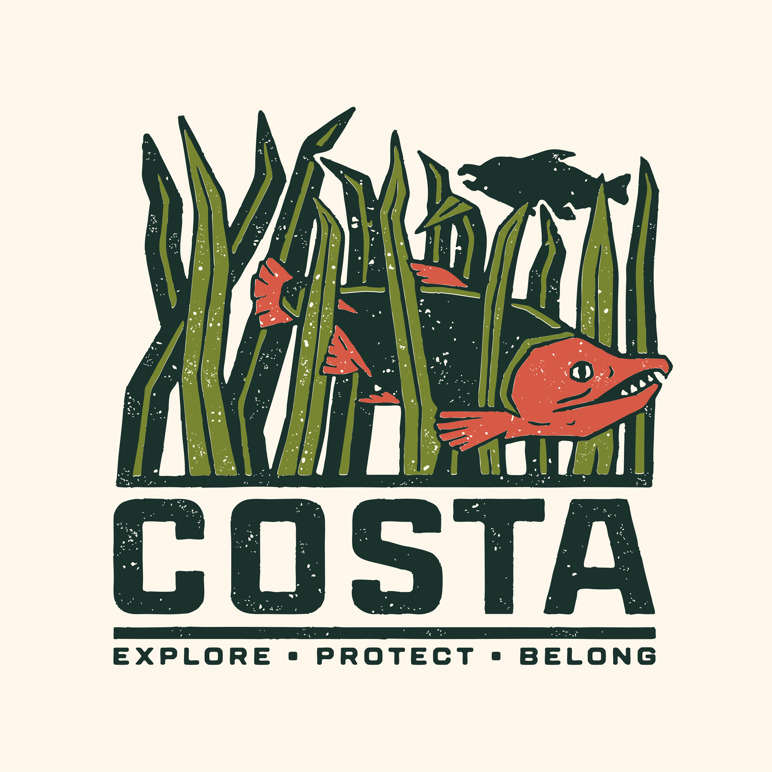 exploreprotectbelong.png