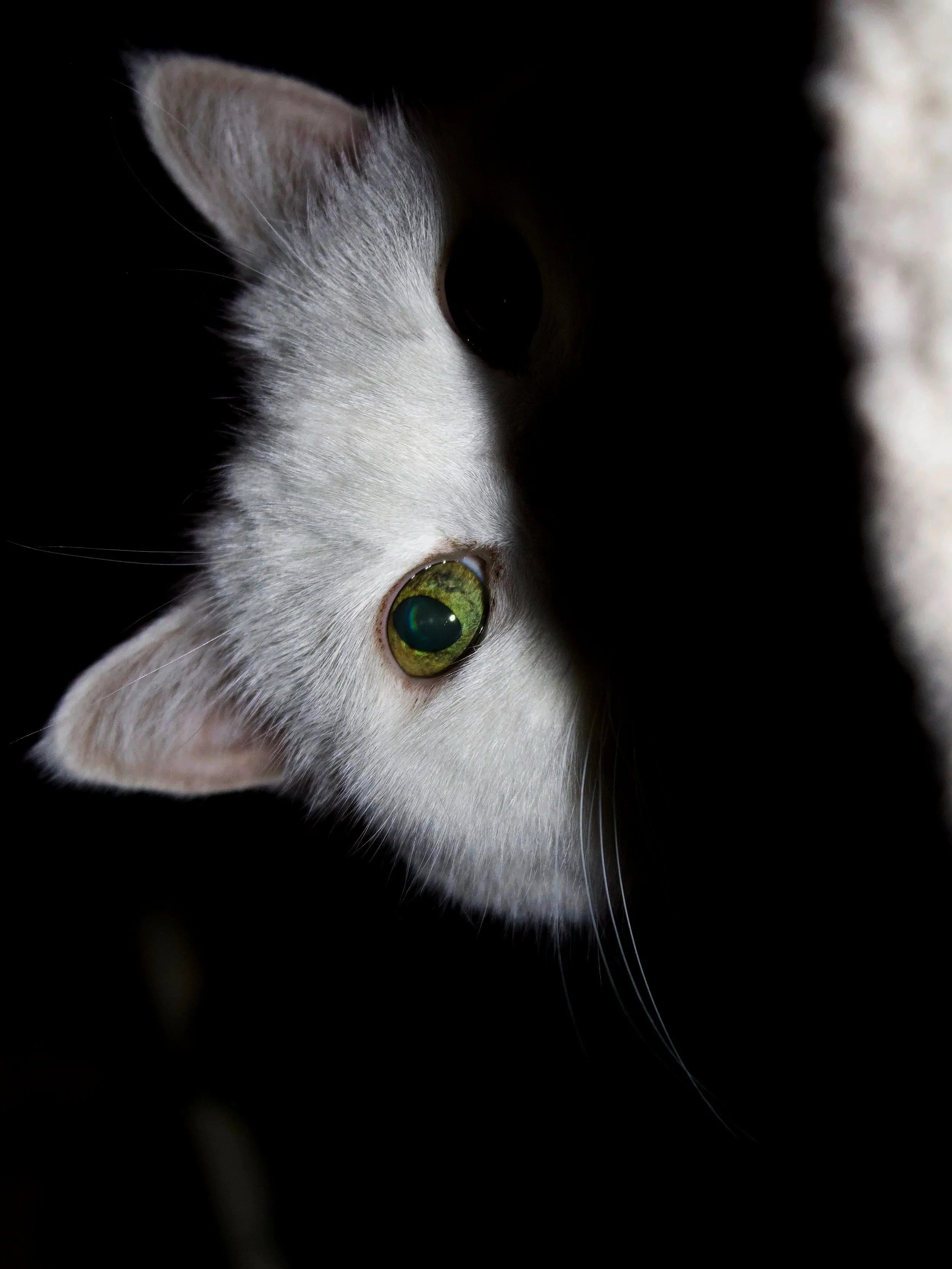 Peering