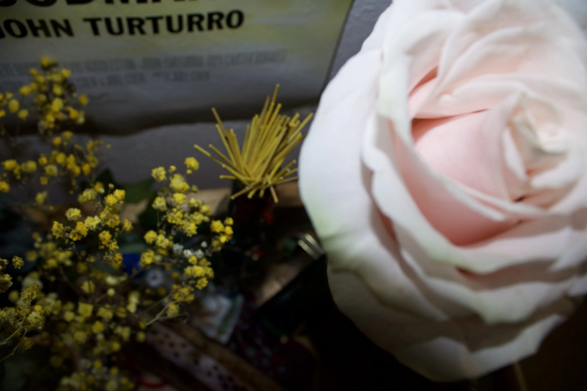 Indoor Flowers