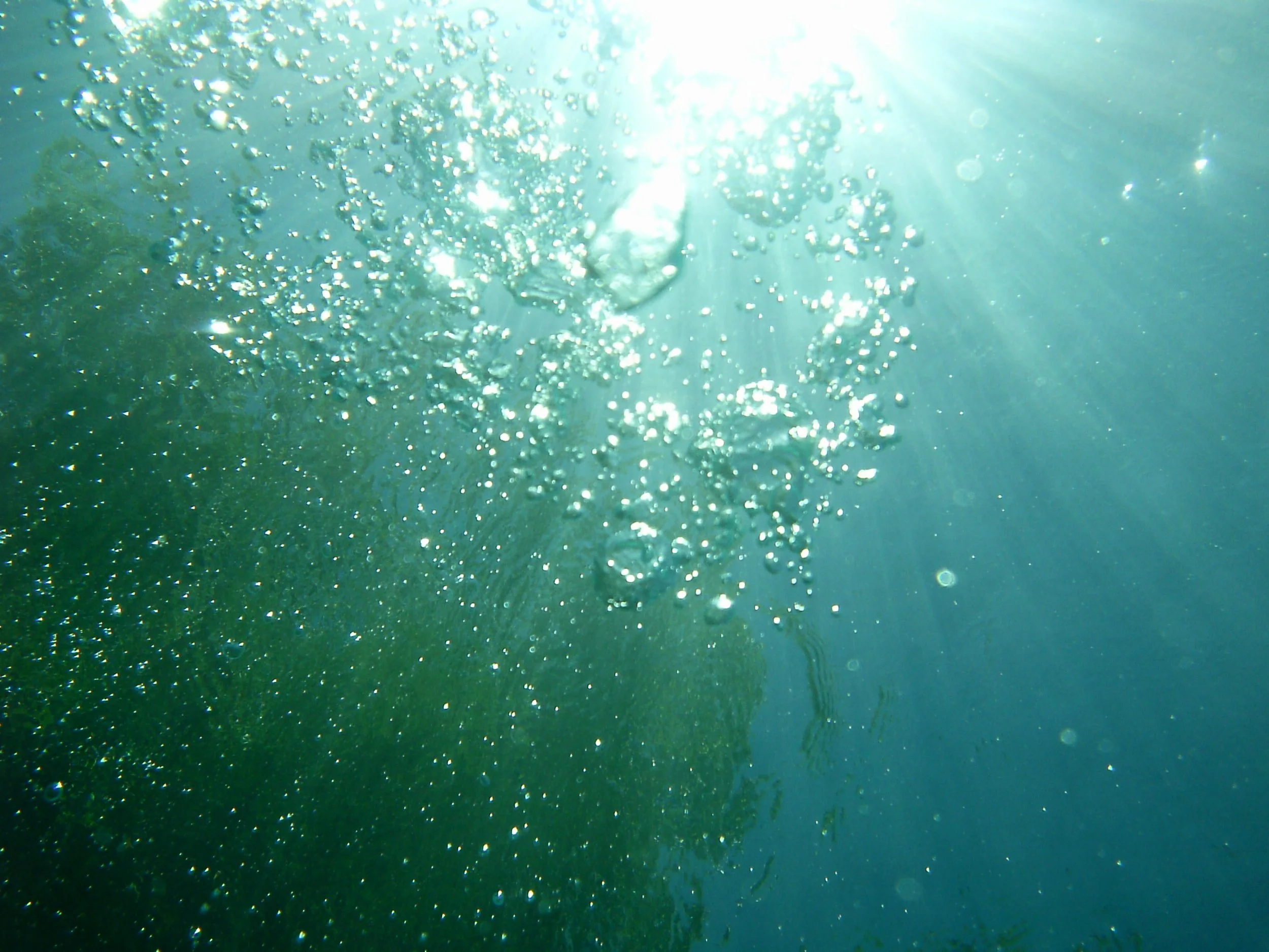 Bubbles