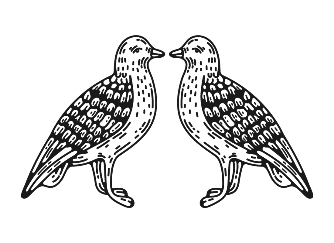 Two ink drawn sea birds facing each other.