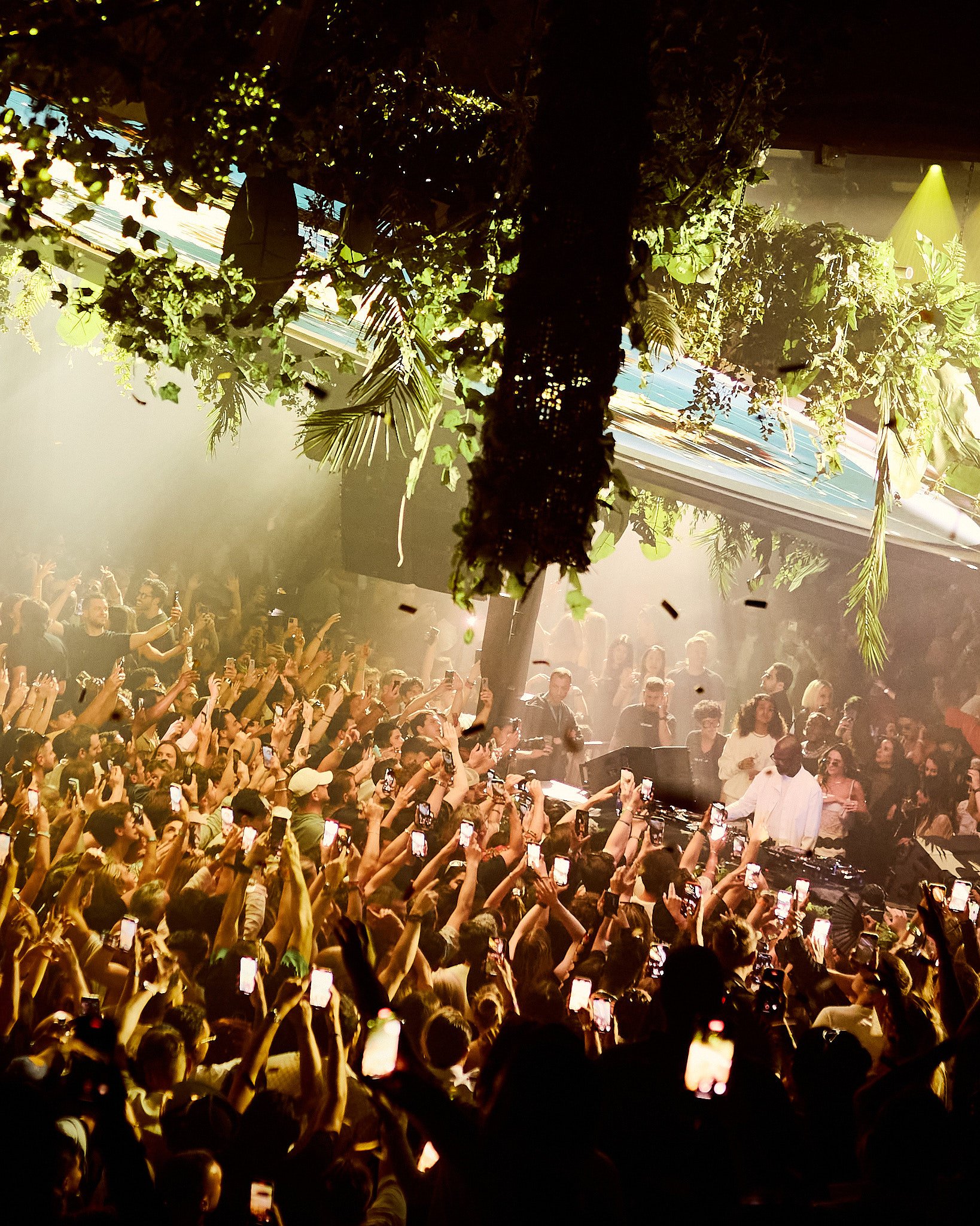 Una multitud en un concierto, muchas personas con teléfonos tomándose fotos y videos, un DJ en el escenario en el centro, decoraciones con plantas y ramas en el techo.