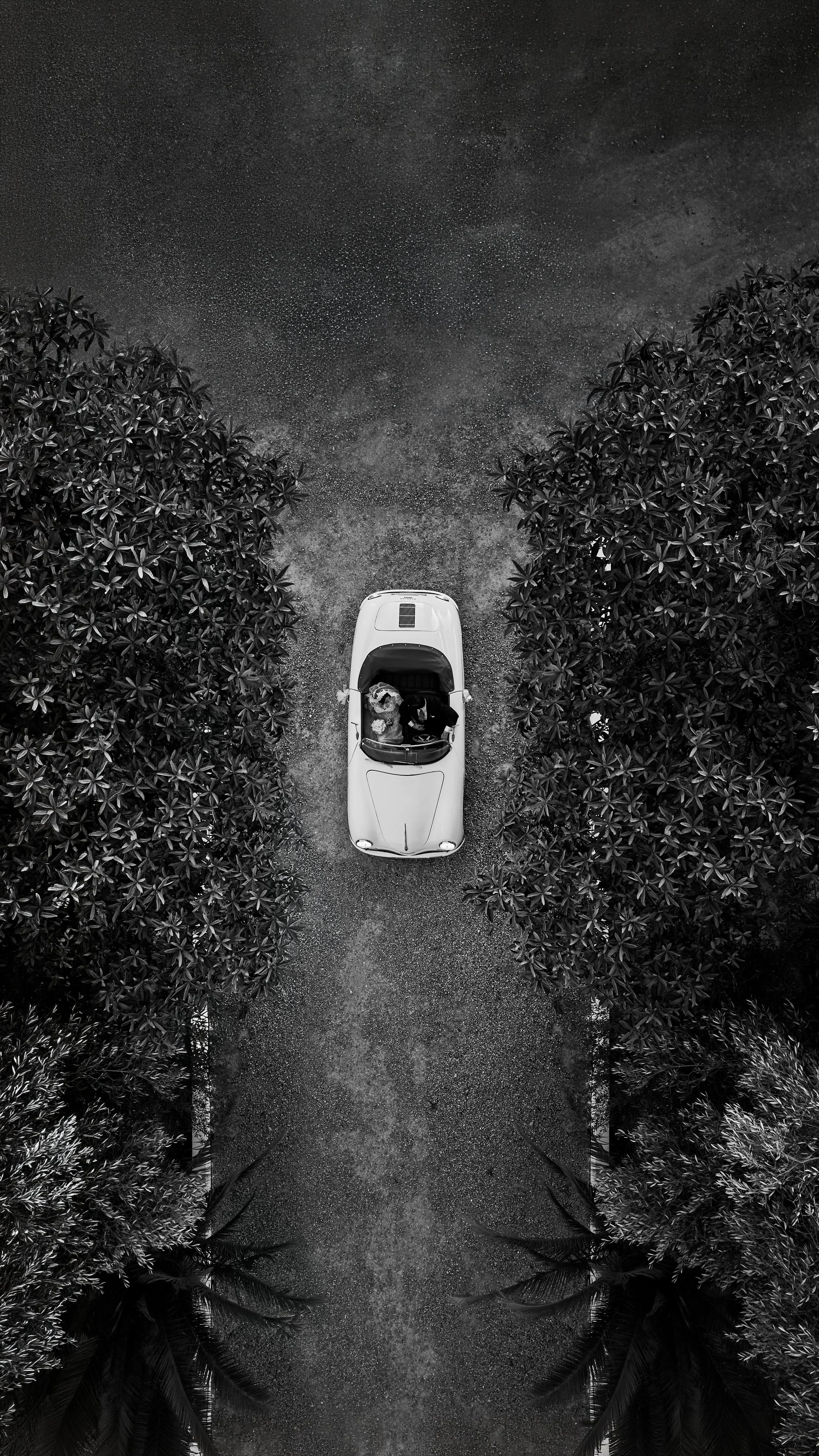 DJI_20260829205426_0172_D_UGE-2.jpg