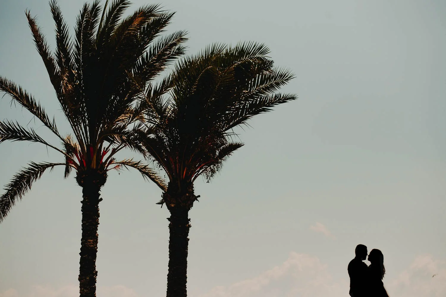 Pareja abrazada en un atardecer junto a palmeras, silueta.