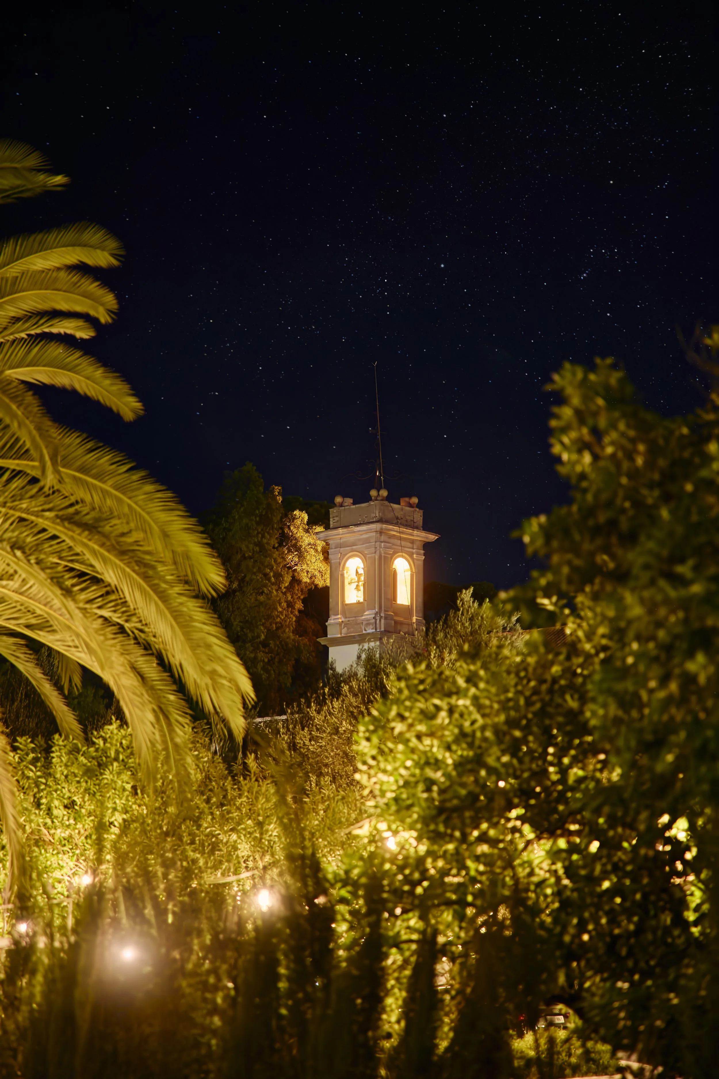 Edificio con torre y campanario iluminado por la noche, rodeado de árboles y plantas, cielo estrellado