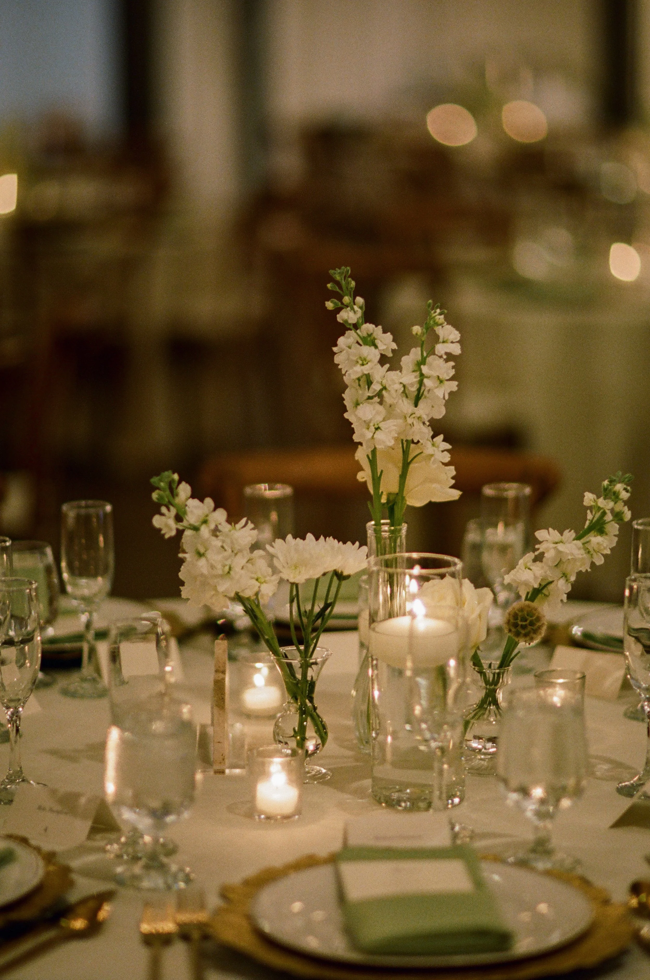 Bud Vase Bundle