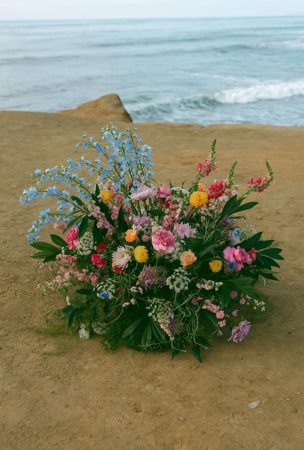 Colorful ground florals on Sunset Cliffs in San Diego.