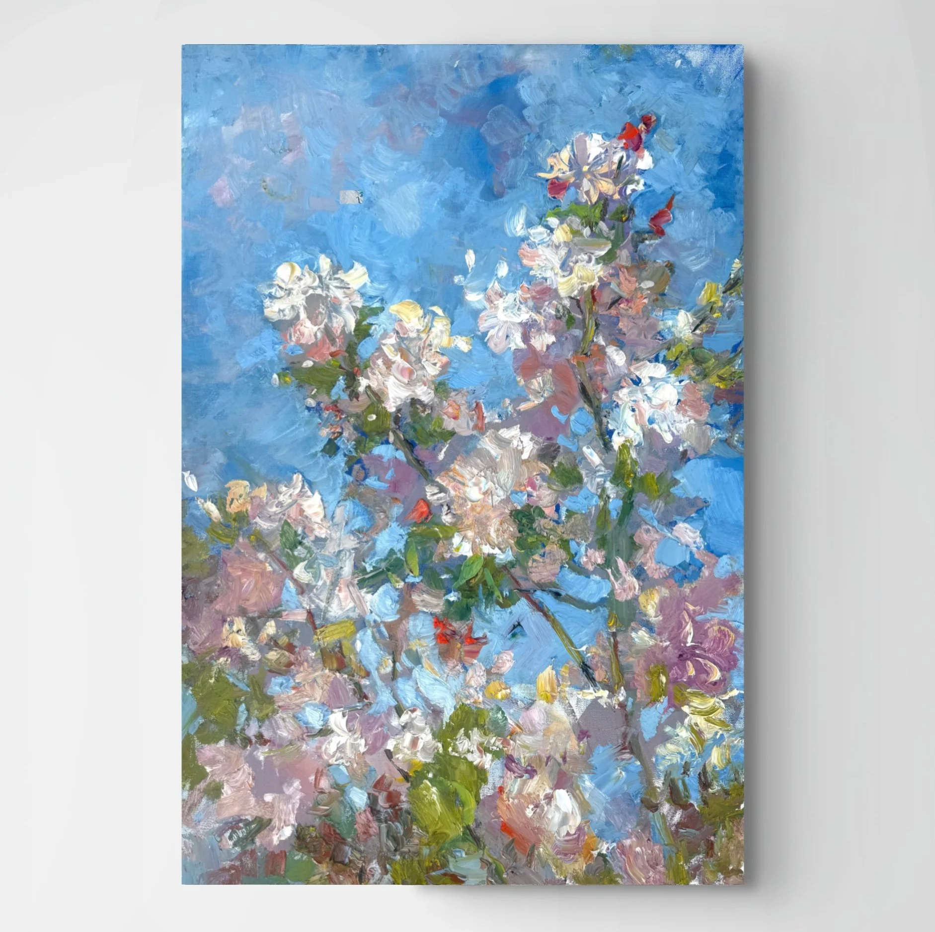 Apple Blossoms