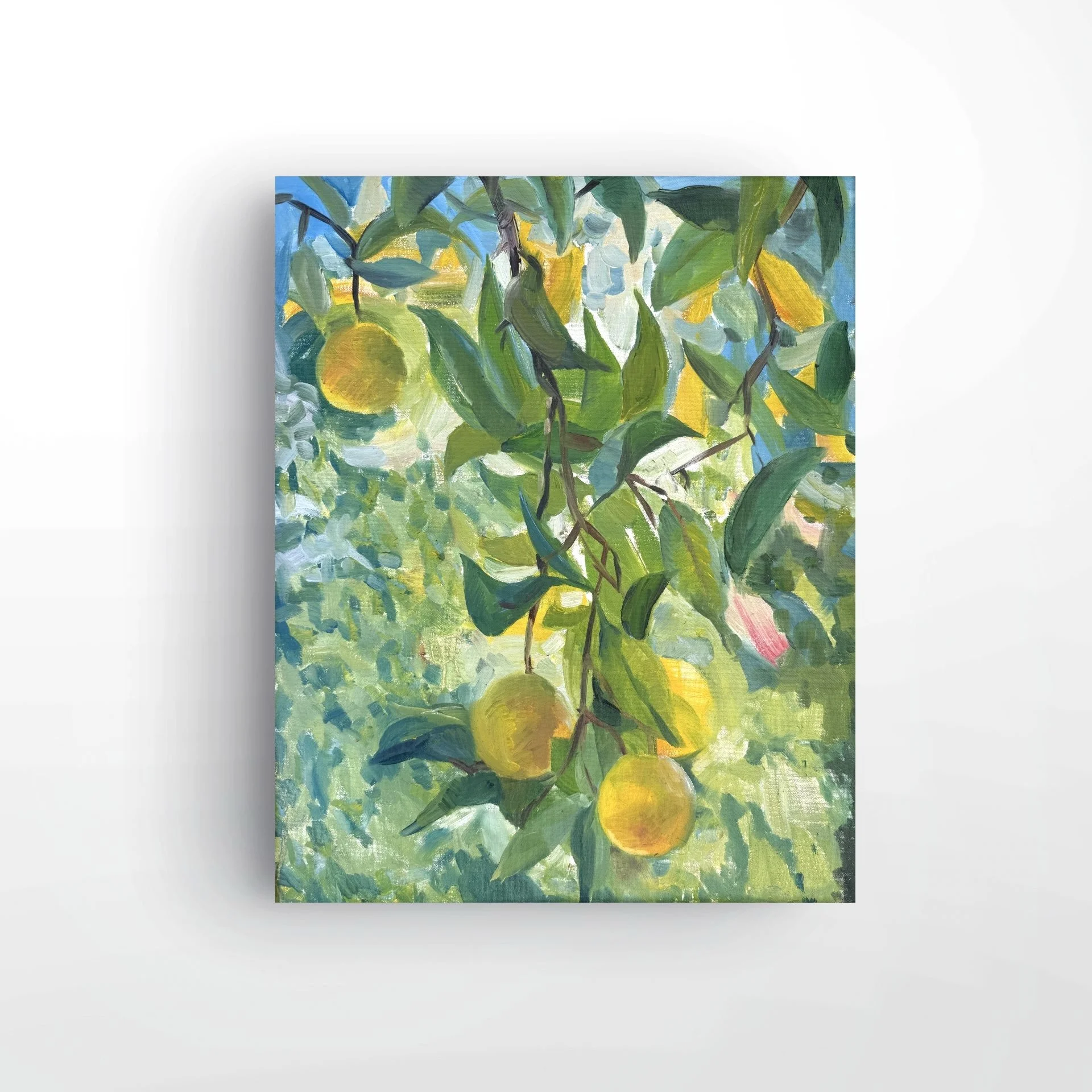 Zest for Life