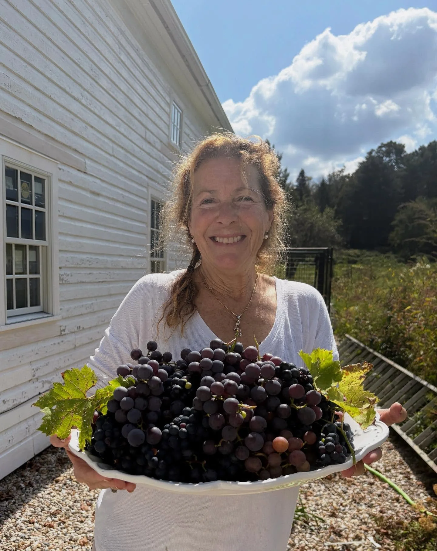 Whatever shall we do with all these grapes?