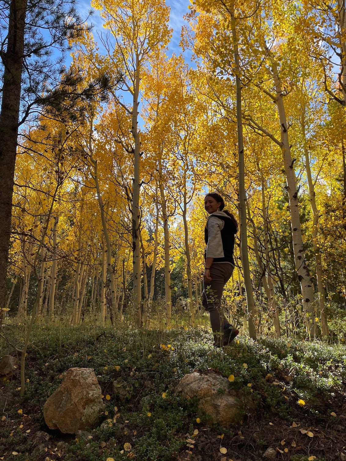 A woman walking in a forest of tall, yellow-leaved trees with a blue sky overhead.