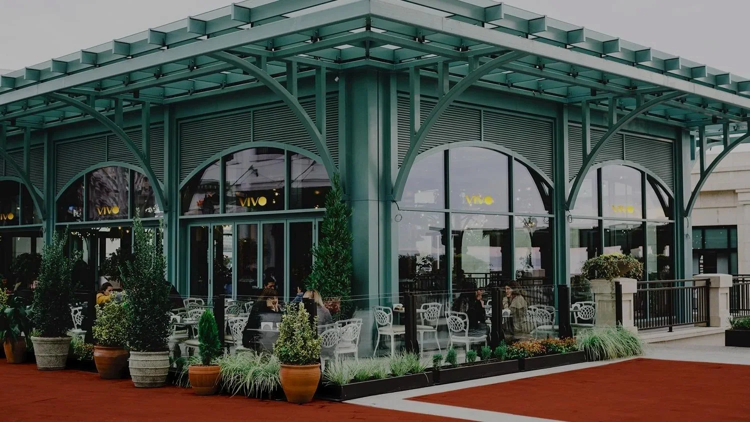 VIVO Plant Store Branding