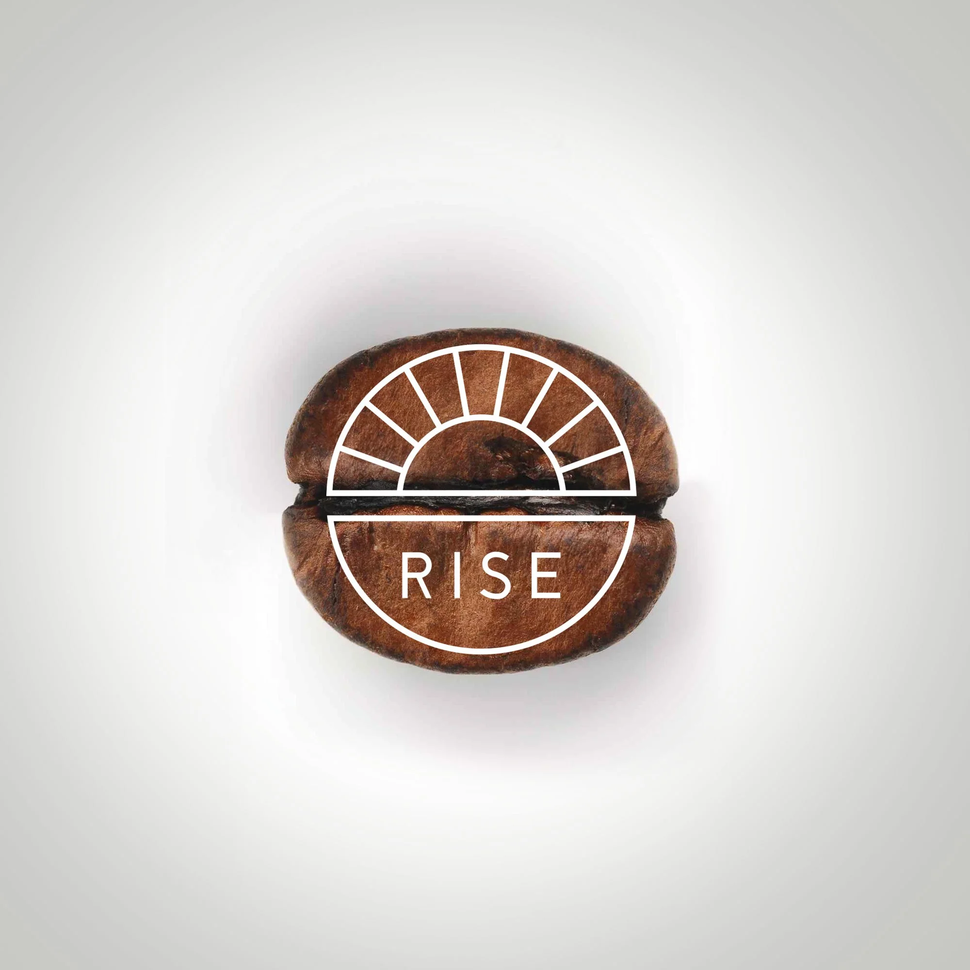 pollauf-design-branding-rise-logo_development-a.jpg