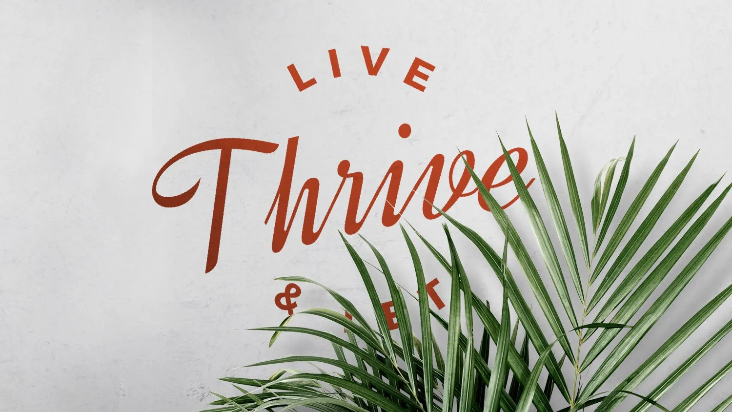 Painted mural of words on white textured wall reads "Live & Let Thrive" with palm fronds in front of text.