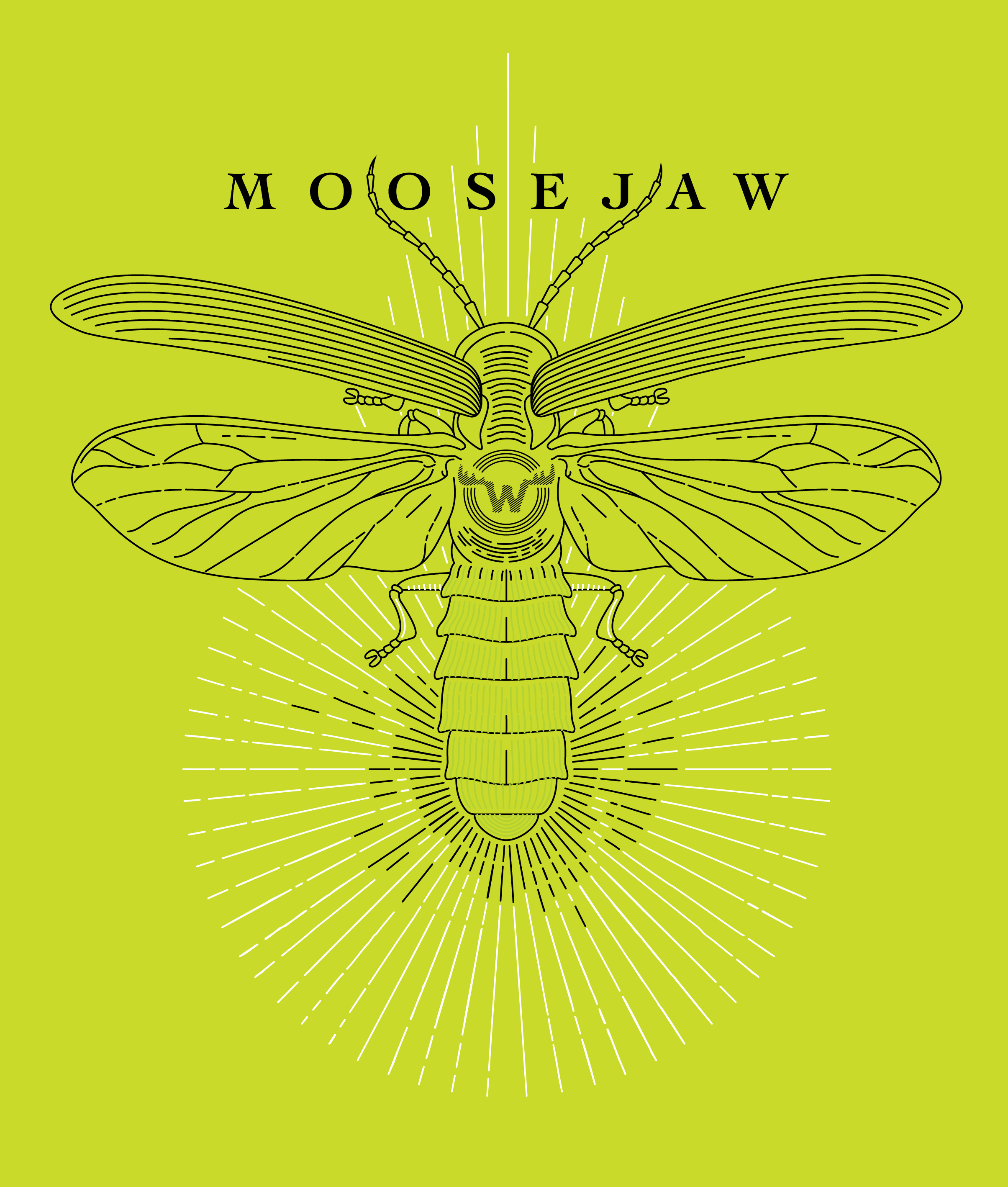 pollauf-illustration-moosejaw-lightningbug.png